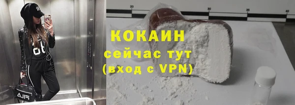 дмт Козельск