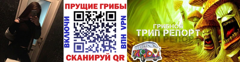 Псилоцибиновые грибы мухоморы  продажа наркотиков  Кондрово 
